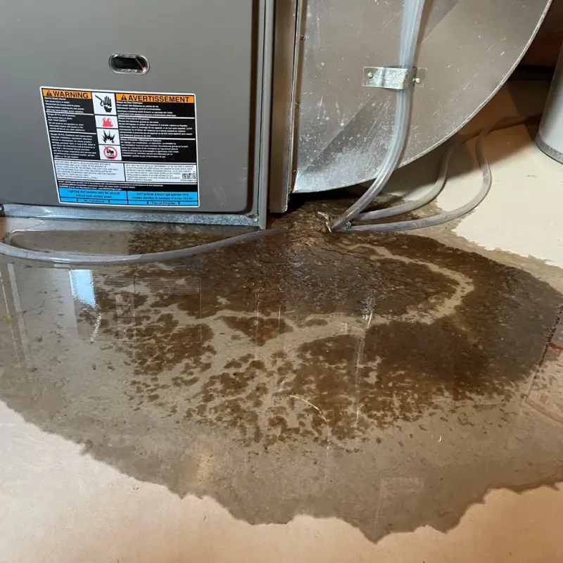 Appliance Leak Cleanup in Calabash, NC